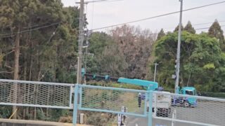 今日は休場日、普段できない全館停電作業、高圧線周りの樹木伐採をしてます🌴🌴

#久留米カントリークラブ#ゴルフ#広川町#久留米