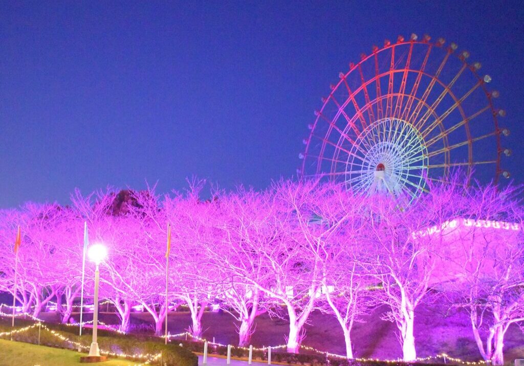 桜