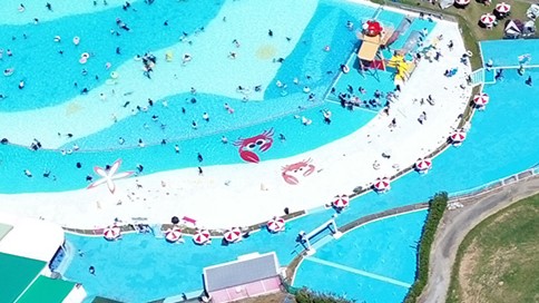 pool202407-1